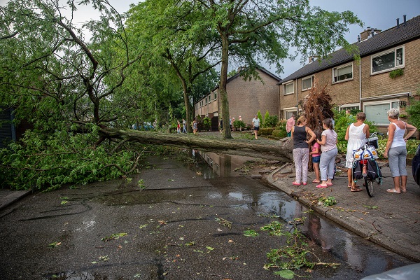 Opruimen stormschade in Roosendaal gaat nog weken duren