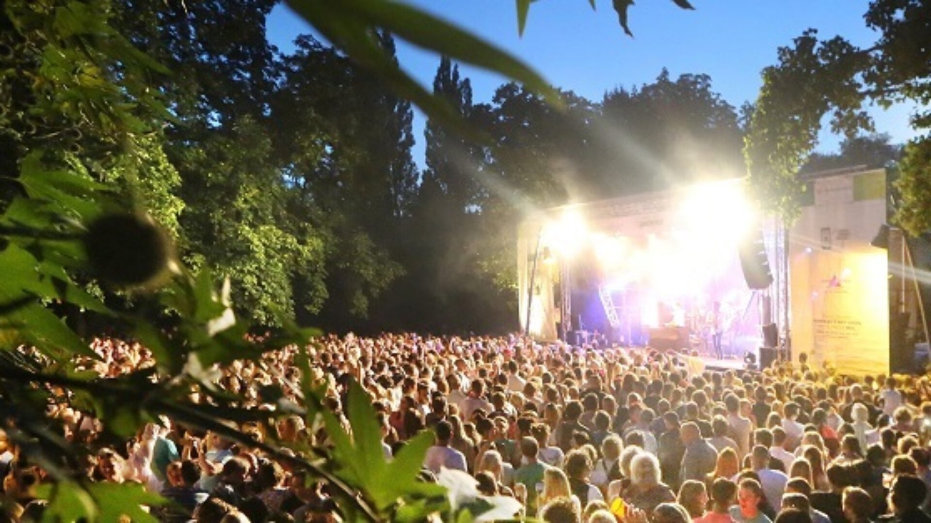 Ook deze zomer weer Palm Parkies in Bergen op Zoom en Roosendaal