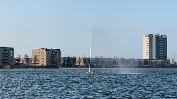 Bergen op Zoom gaat vaker ganzenpoep ruimen rond Binnenschelde, maar zonder poepzuiger