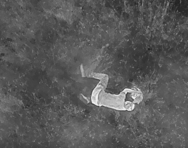 Infraroodfoto vanaf drone genomen waarop je man zit kruipen naar een reekalfje