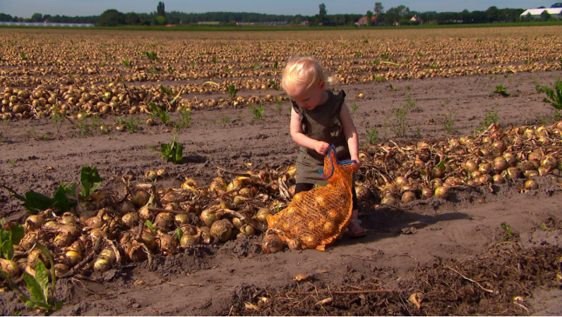 De uien vliegen weg bij boer Jan en vrouw Rigerda in Moerstraten