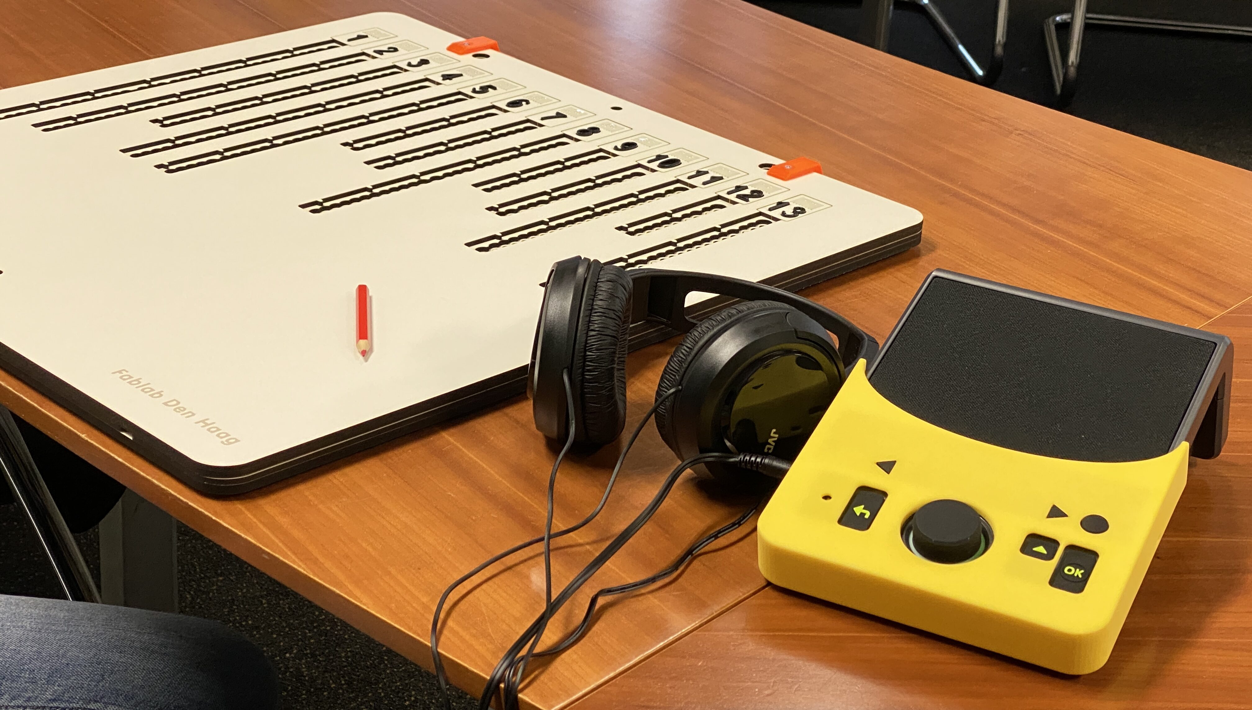 Deze hulpmiddelen zijn er voor mensen met een beperking die in Bergen op Zoom gaan stemmen