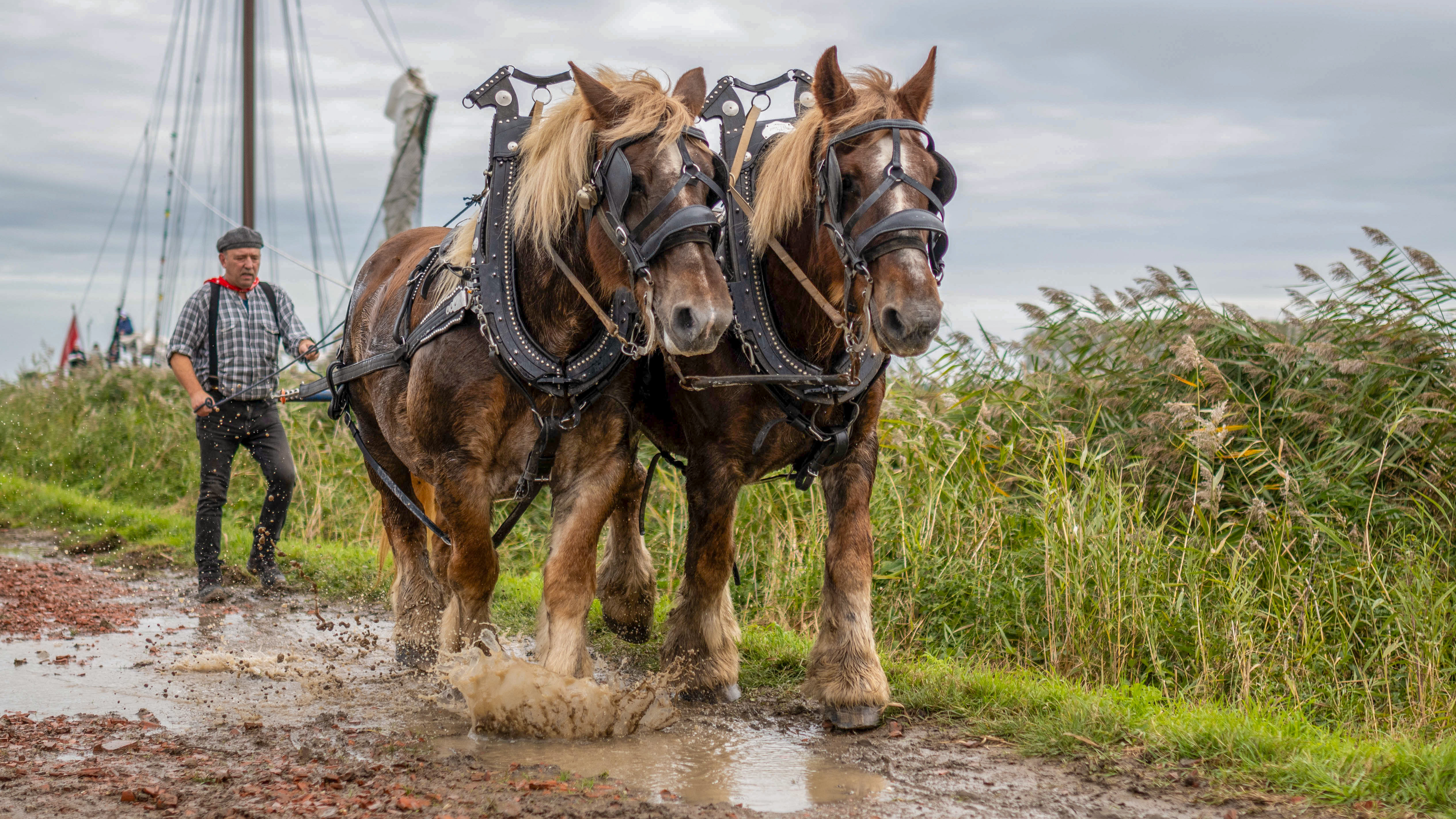 Bietentocht Steenbergen | Foto: Jelka Matlung