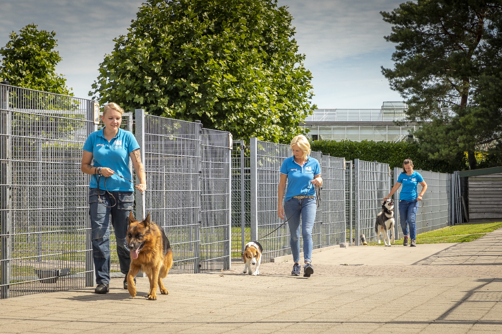 Dierenpension Hoevekestijn krijgt voor twintigste jaar op rij Dierbaar-keurmerk: 'Meer dan trots'