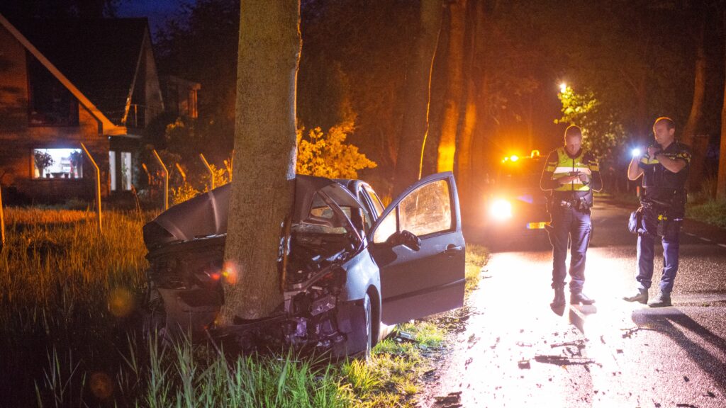 Automobilist botst frontaal op boom bij Nieuw-Vossemeer