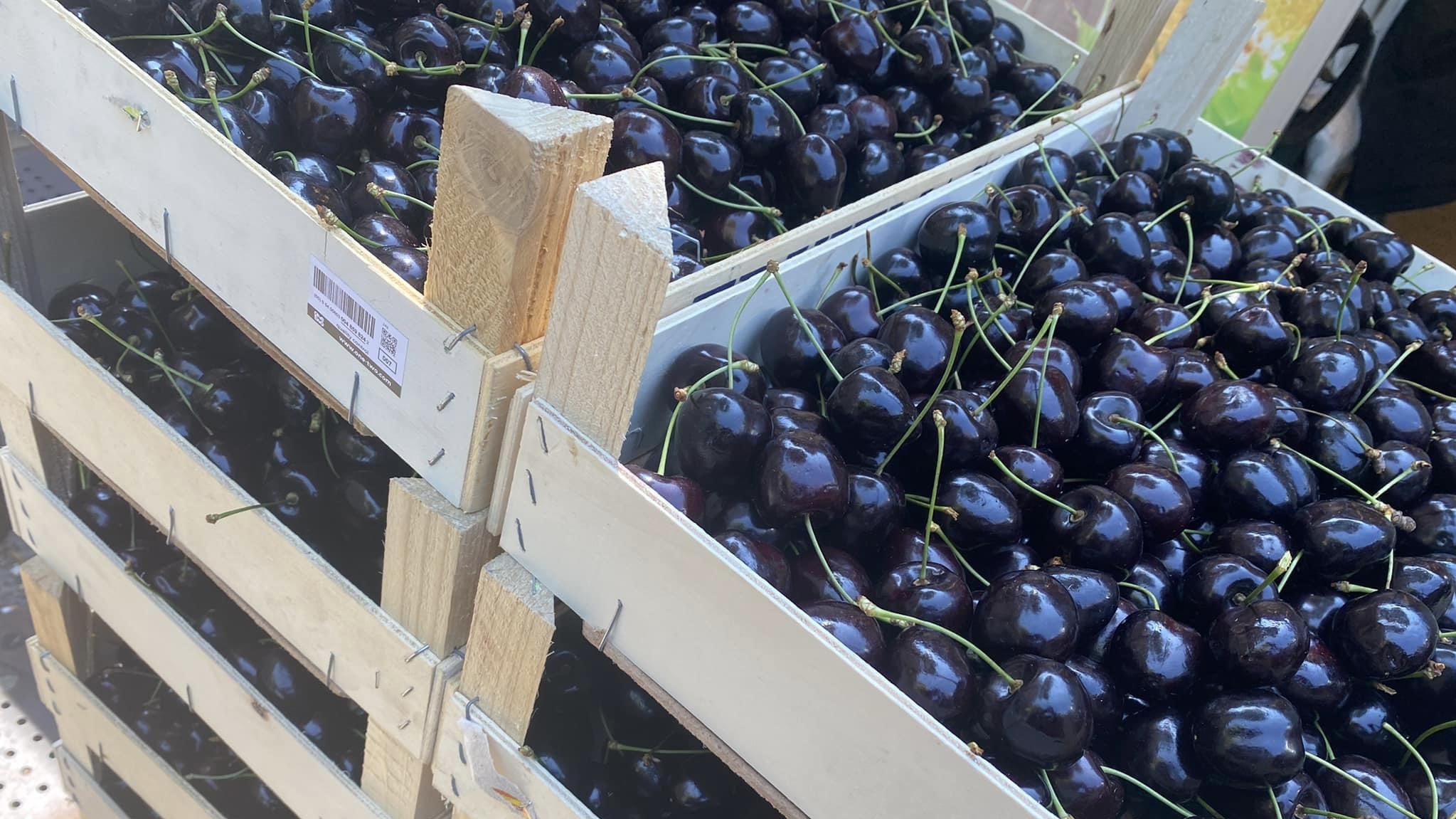 Vele regen verpest kersenseizoen van Voorbraak Kersen in Oud Gastel