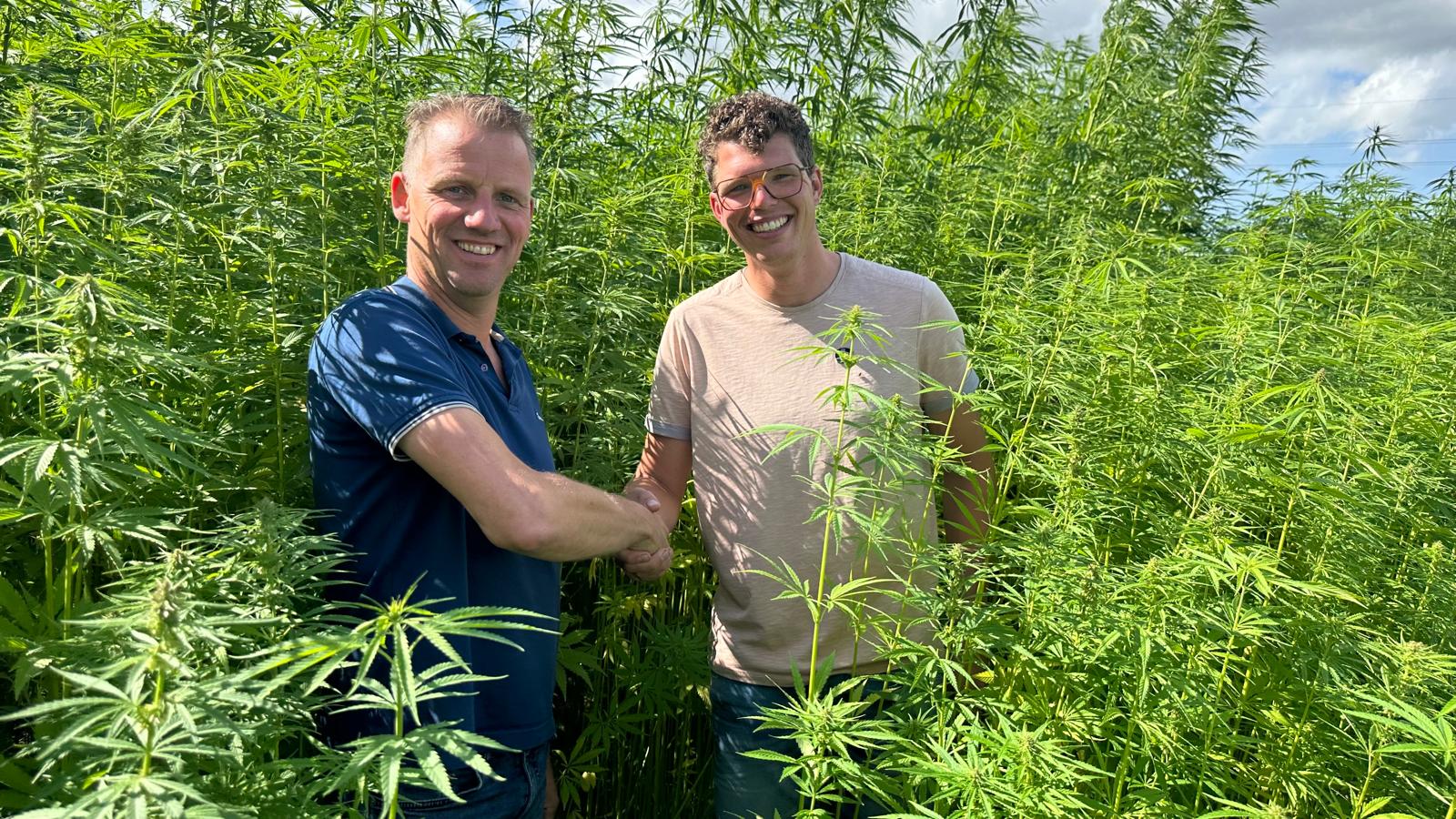 Boer Marc teelt hennep: ‘Mensen vragen me waar ik aan begonnen ben’