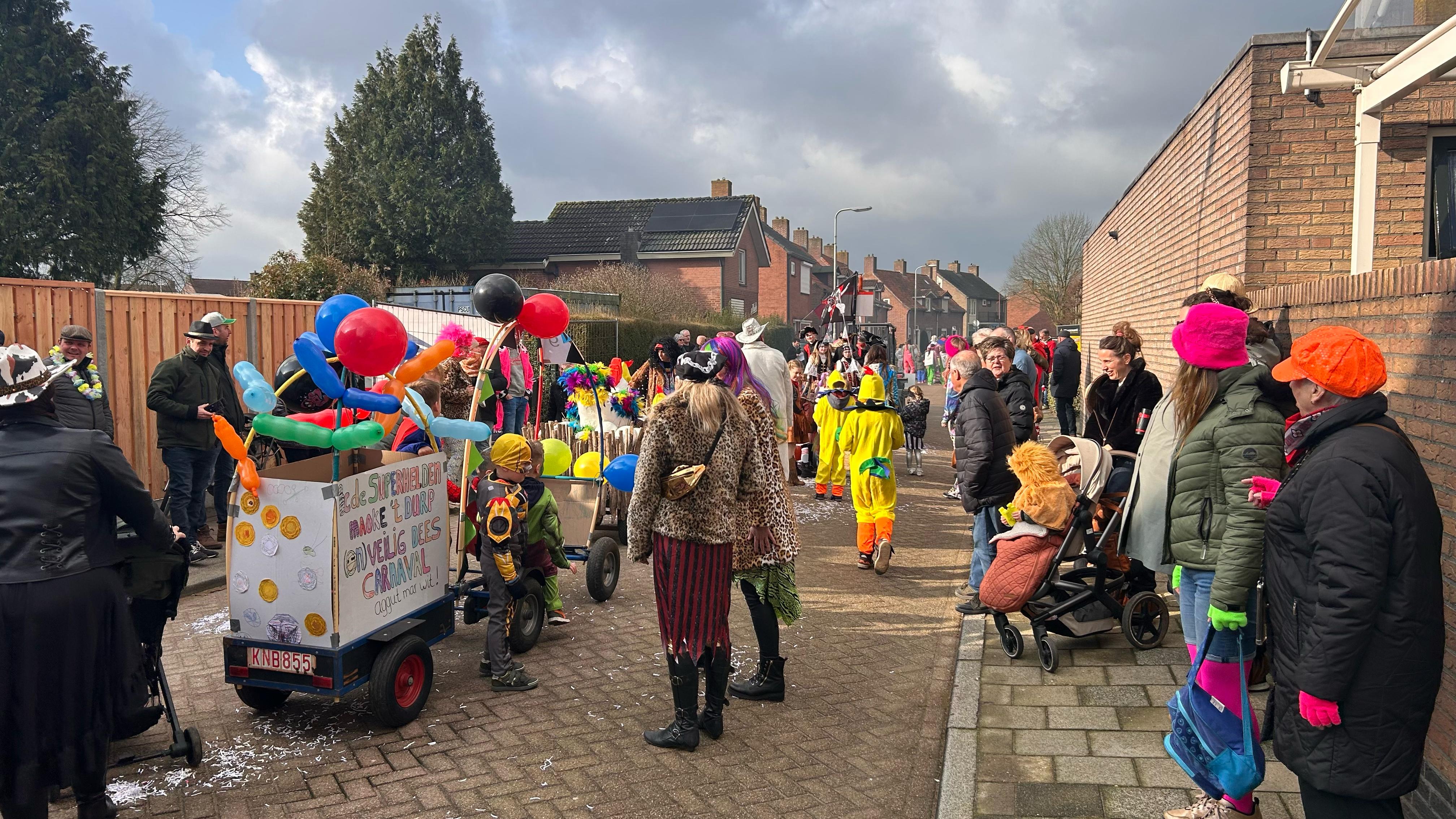 Carnaval Aopelaand