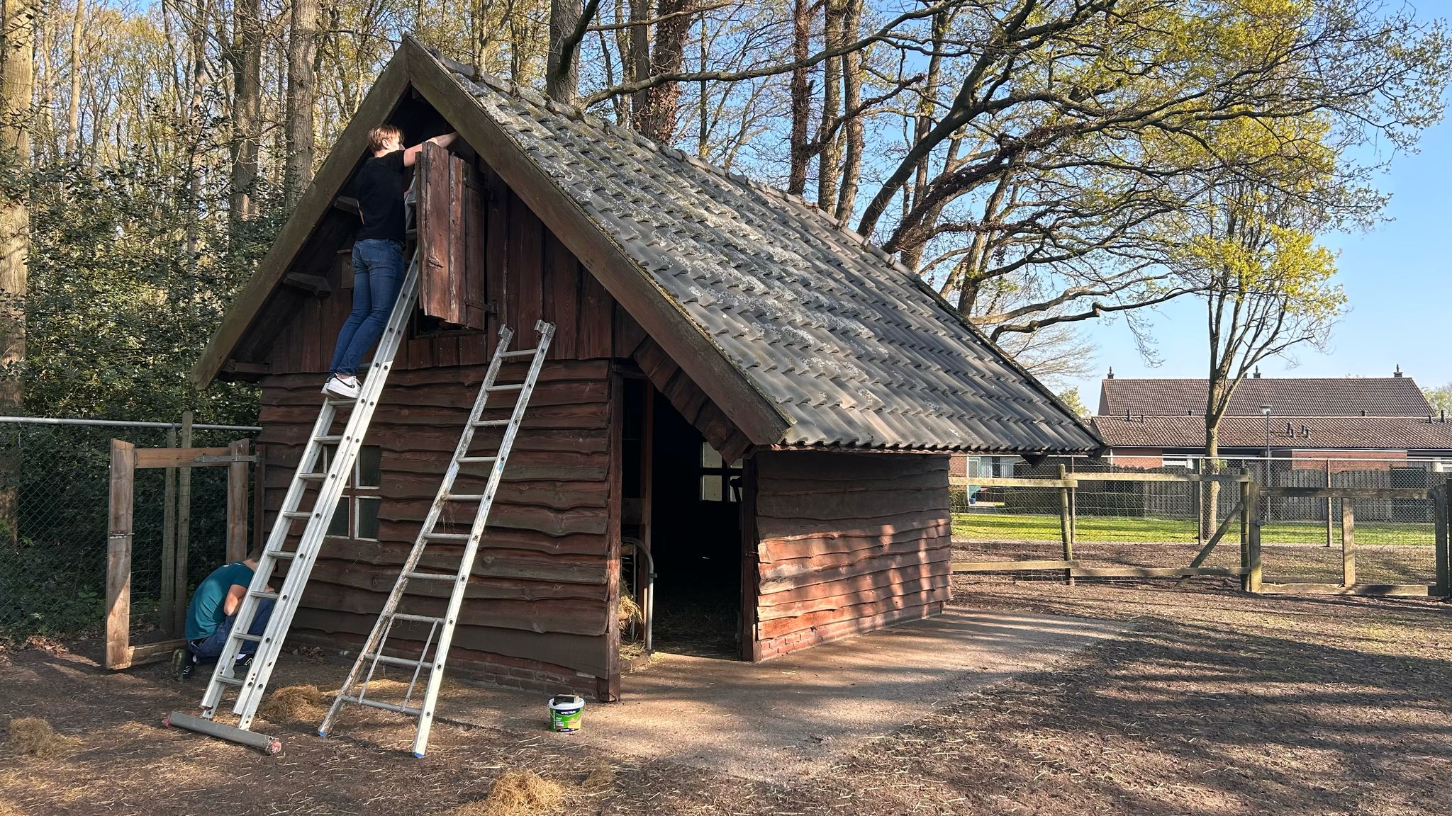 Carnavalsclub de Baargsebaon knapt hertenkamp Nispen op: 'Zetten ons graag in voor het dorp'