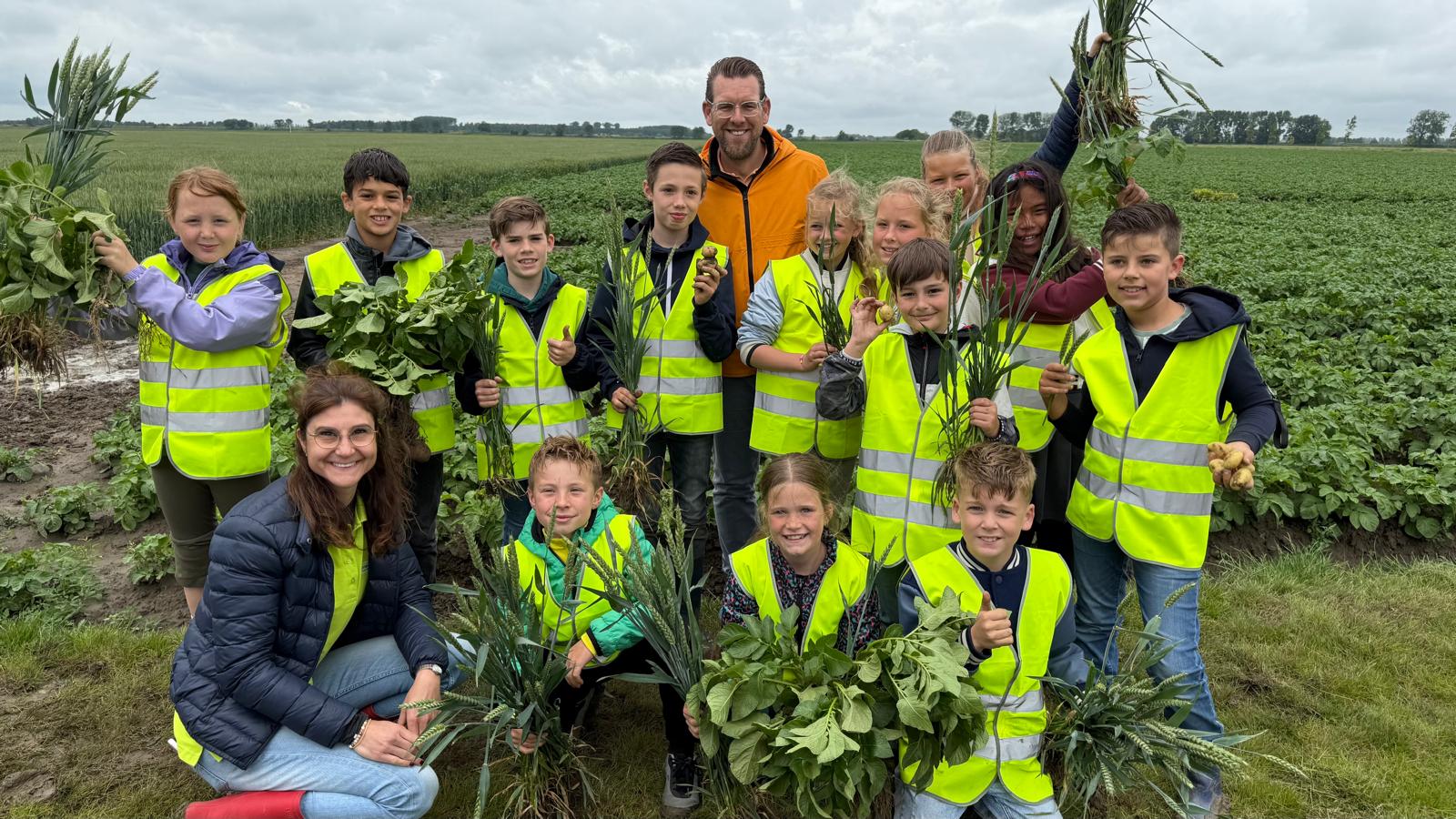 Leerlingen basisschool Petrus en Paulus uit Dinteloord leren aardappels rooien