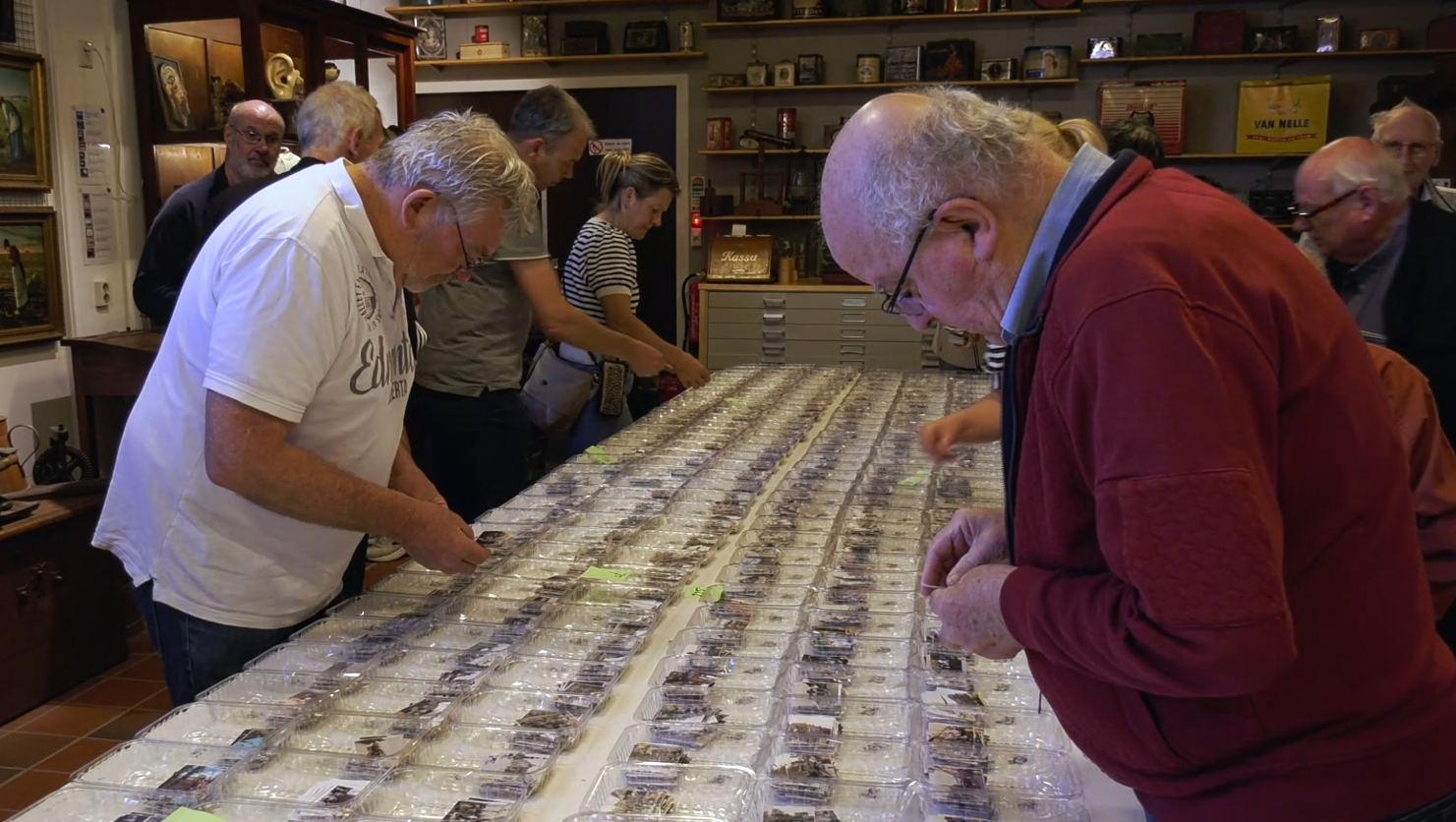 Gastelaren ruilen laatste plaatjes voor historisch boek: ‘Werkt verbindend’