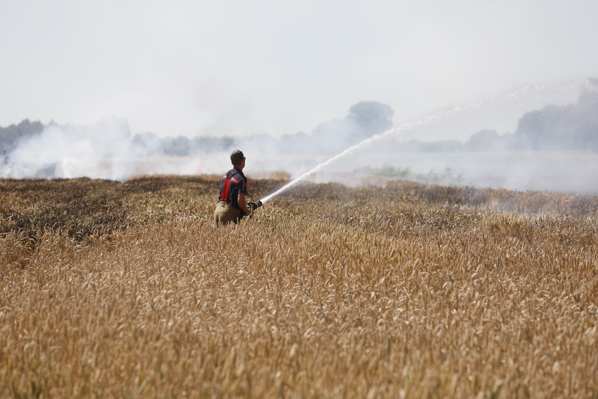Weiland vol tarwe in brand in Wouw; omstanders helpen brandweer