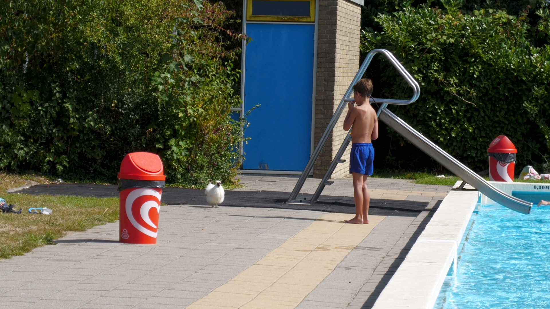 Sjaakie oog in oog met badgast