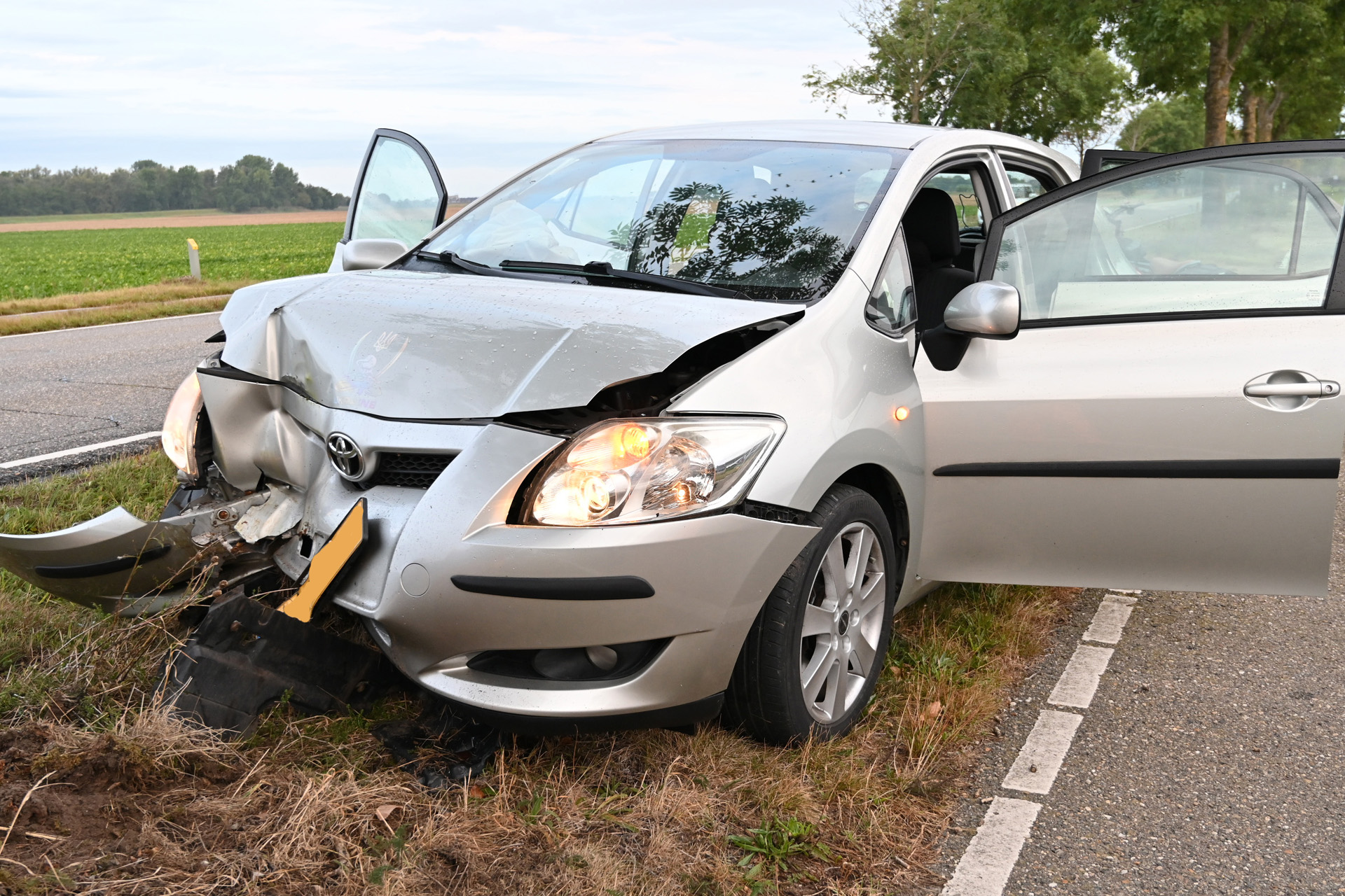 Auto raakt van de weg en botst tegen boom