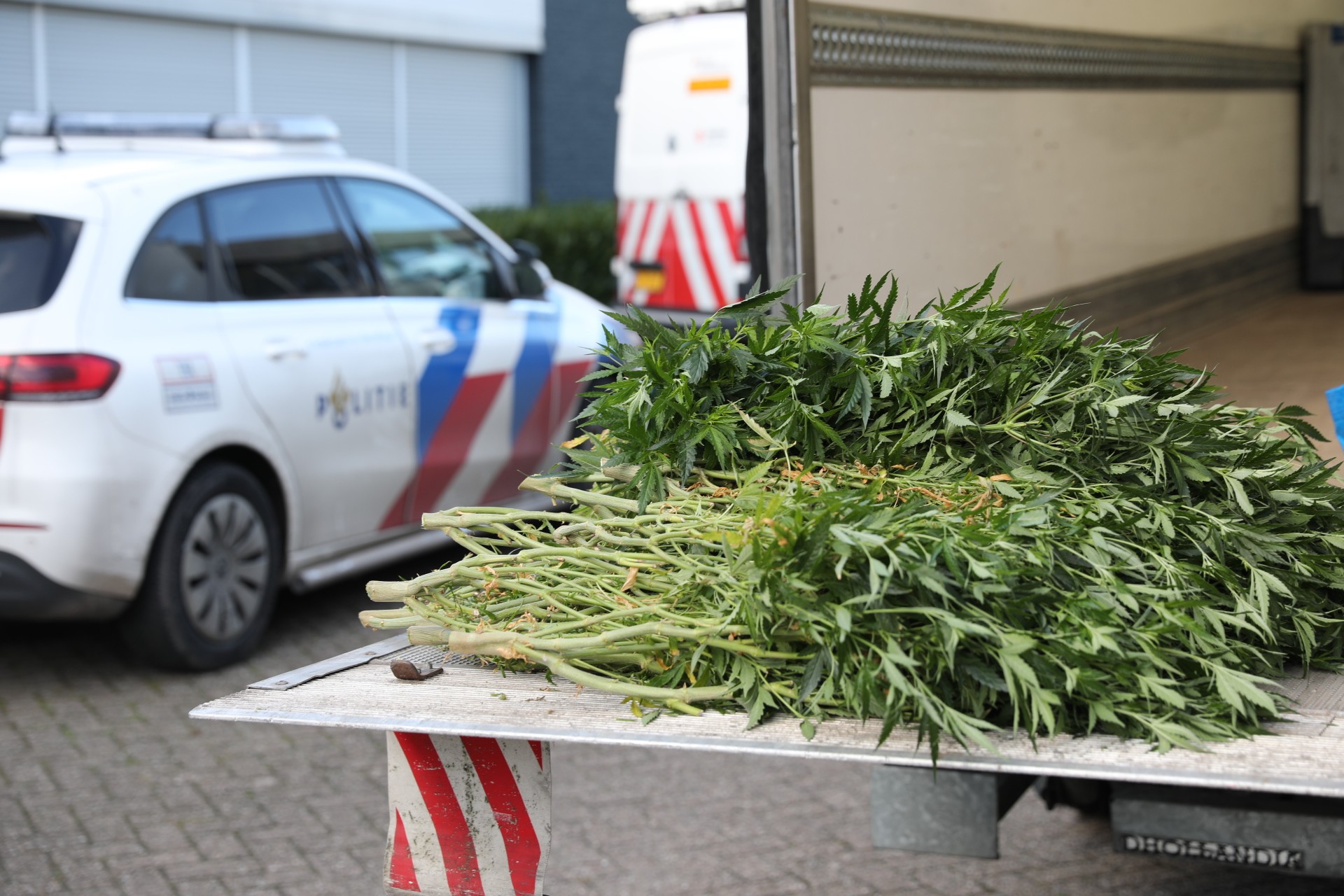 Politie vindt 30 duizend hennepstekjes in bedrijfspand