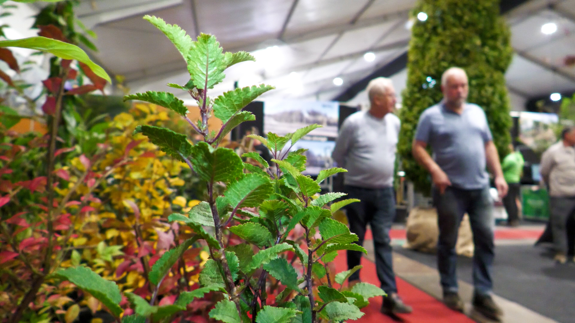 Drukte en innovatie op 35e editie GrootGroenPlus in Rijsbergen