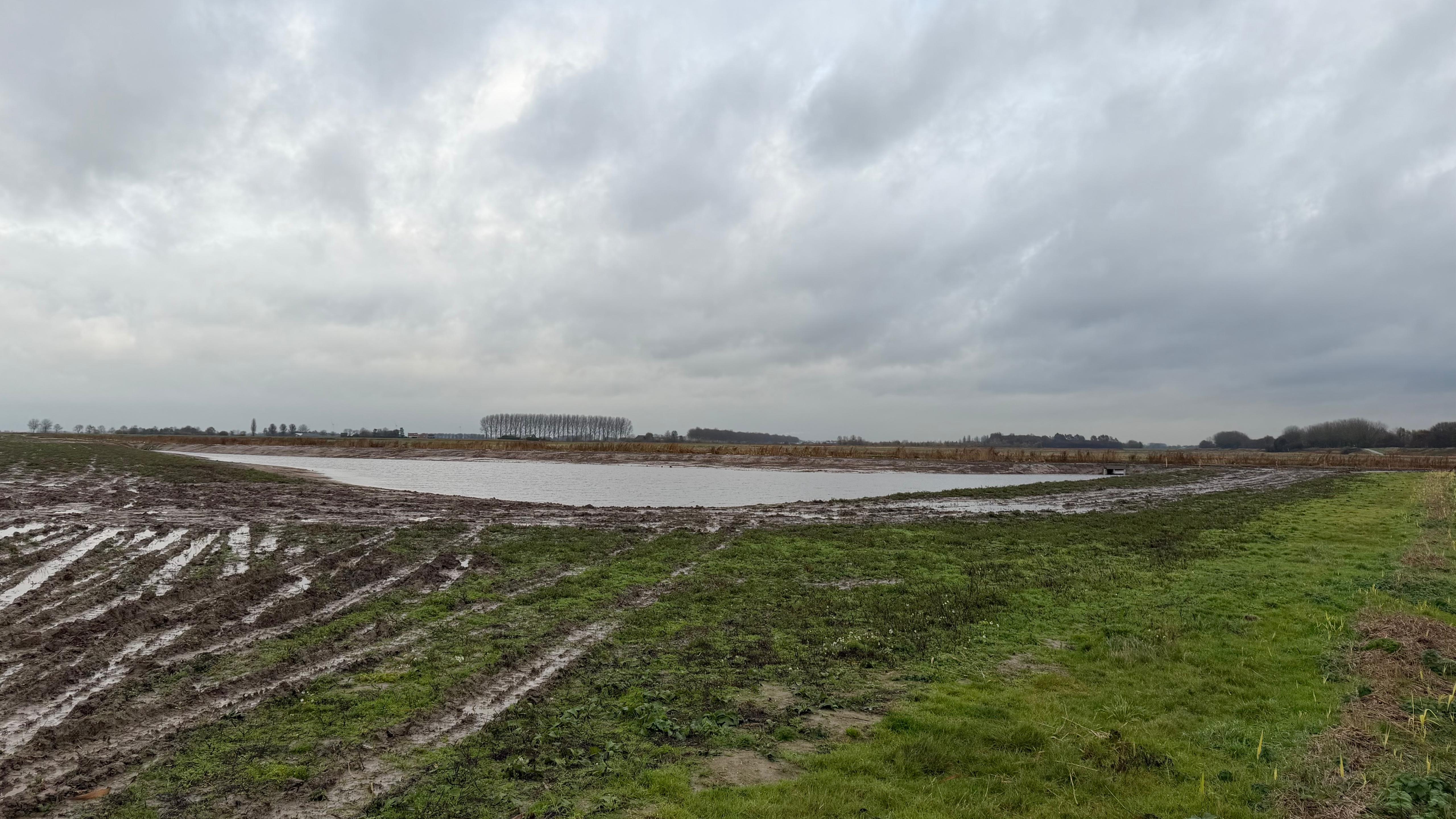 Meer ruimte voor de blauwborst, waterspitsmuis en meervleermuis in nieuwe natuurzone