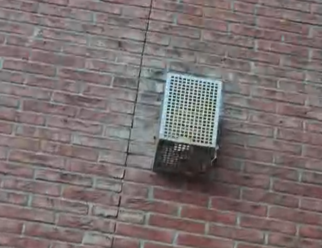 VVD wil verbod op pieptoonmachines voor verjagen jongeren: 'Tijd voor serieus jeugdbeleid'