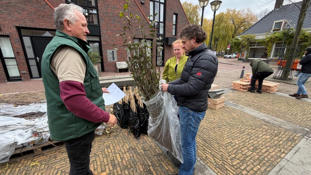 Klundert kleurt groen door gratis groenpakketten: ‘Minder tegels, meer ruimte voor natuur’