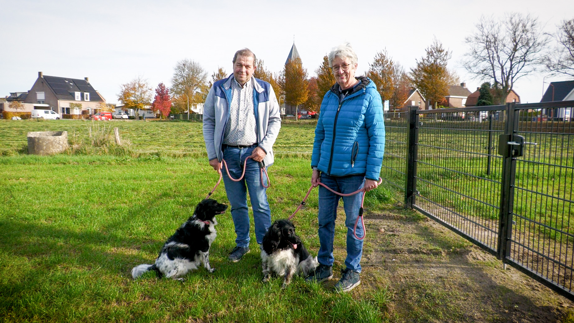 Honden kunnen naar hartenlust rennen in Wernhout