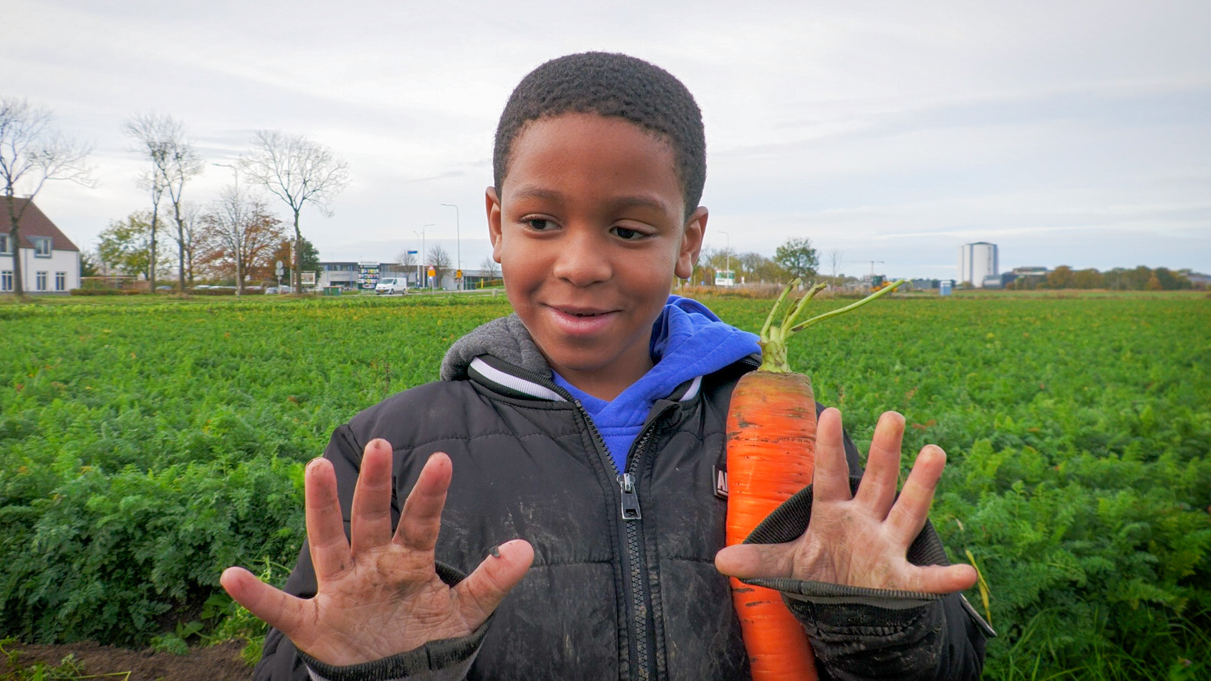 Vuile handen, blije gezichten: schoolkinderen oogsten wortels in Zevenbergen