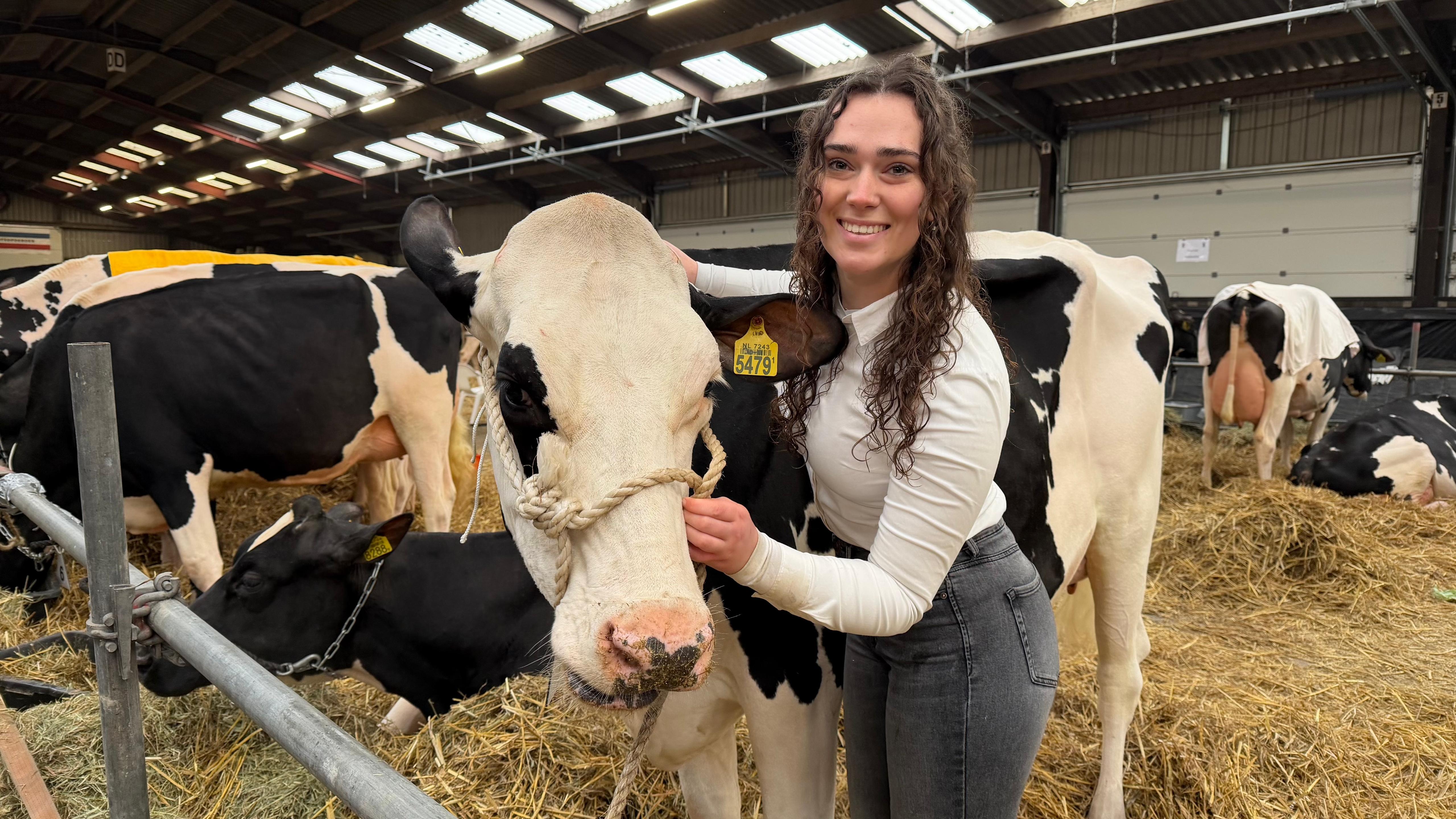Geen hakken, maar hoeven: koeien strijden om de winst tijdens ‘miss verkiezing’