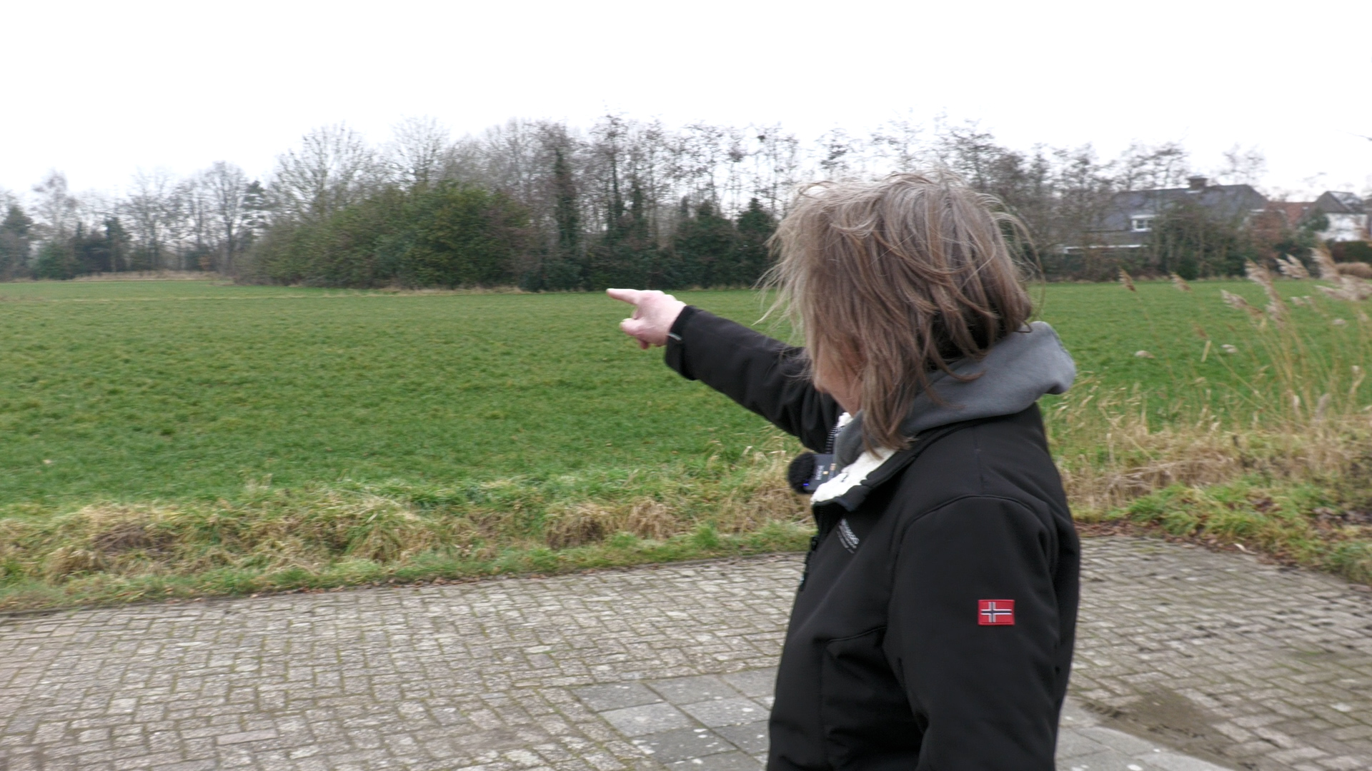 Bomenkap bij Haansberg voorlopig uitgesteld