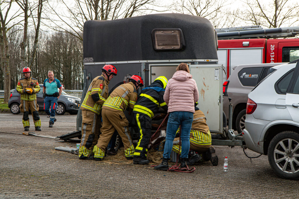 Paard breekt los in trailer op parkeerplaats bij Wouwse Tol