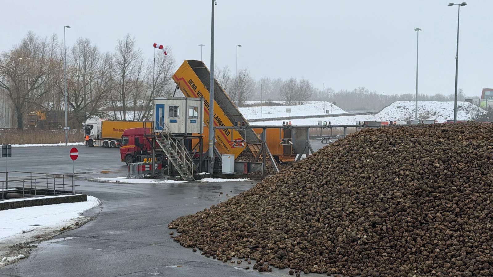 Winterweer treft ook productieproces van bietenfabriek: ‘Heeft vertraagd in aanvoer van bieten’