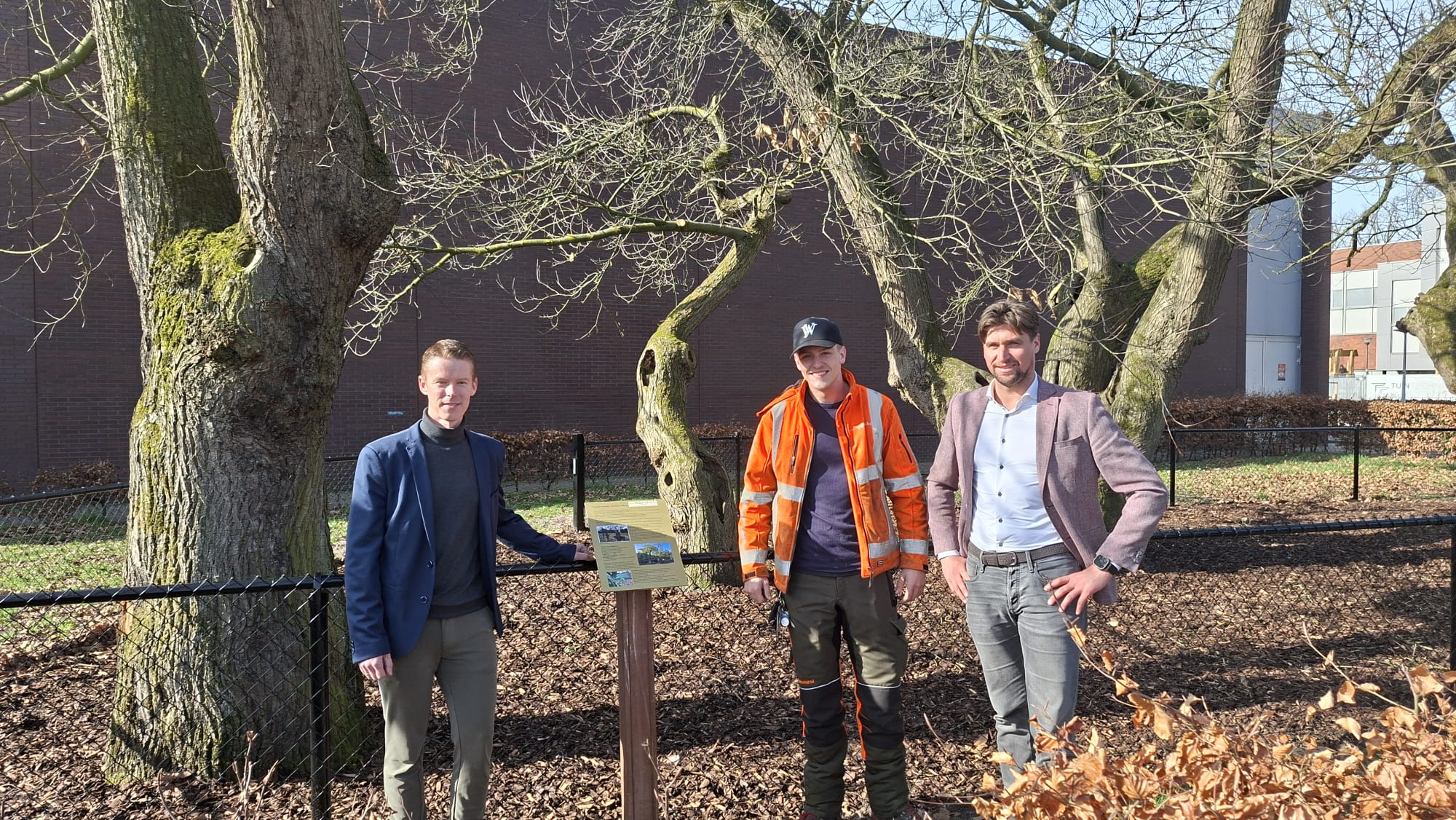 Tamme kastanjes bij gemeentehuis worden in het zonnetje gezet mét speciaal infobord