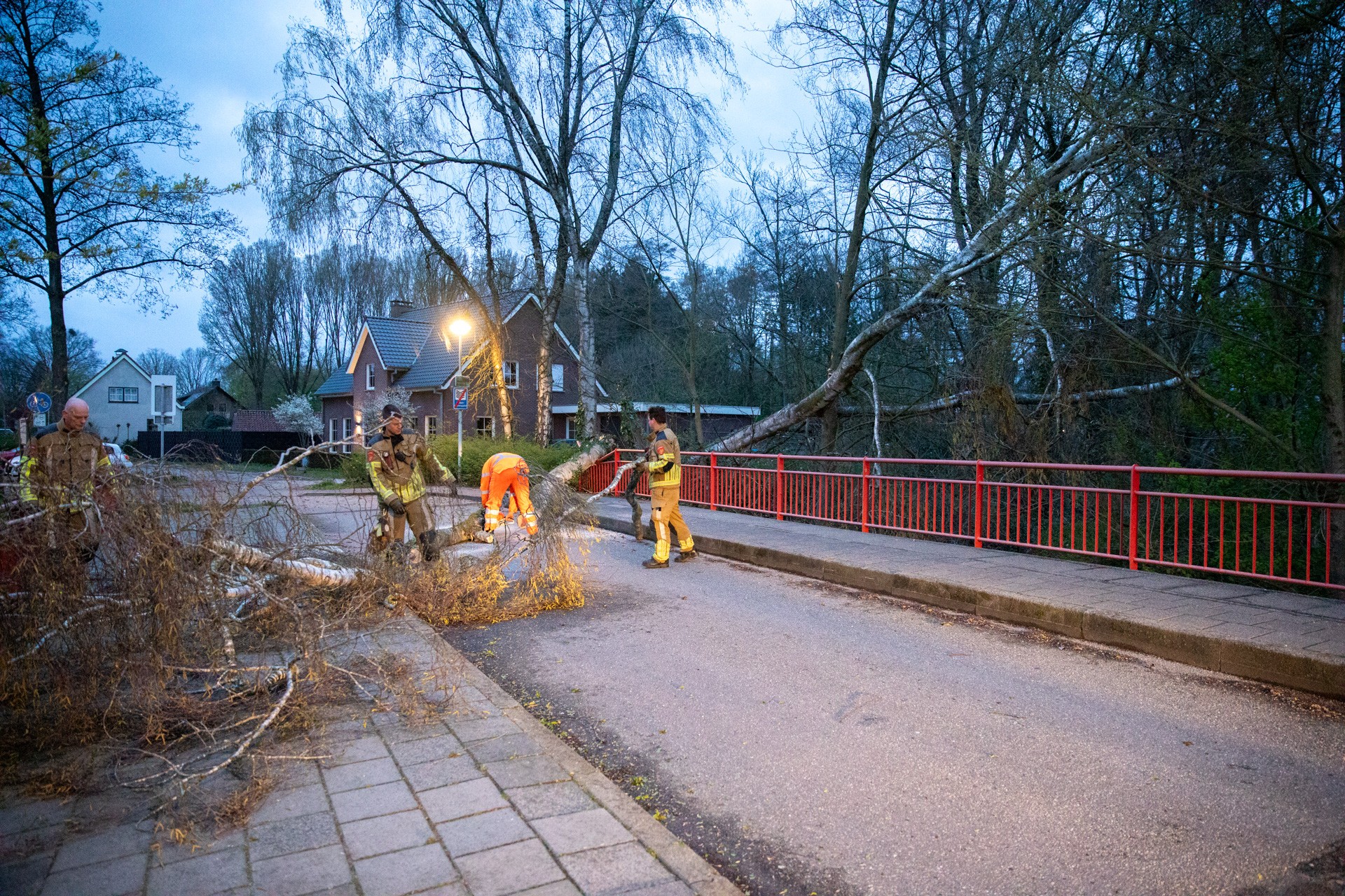 Harde wind veroorzaakt omgevallen boom in Roosendaal
