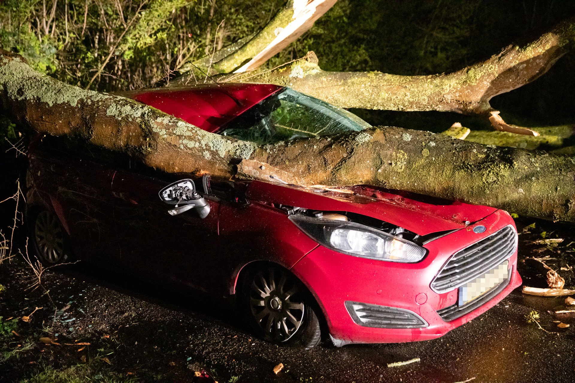 Boom komt door harde wind op geparkeerde auto terecht