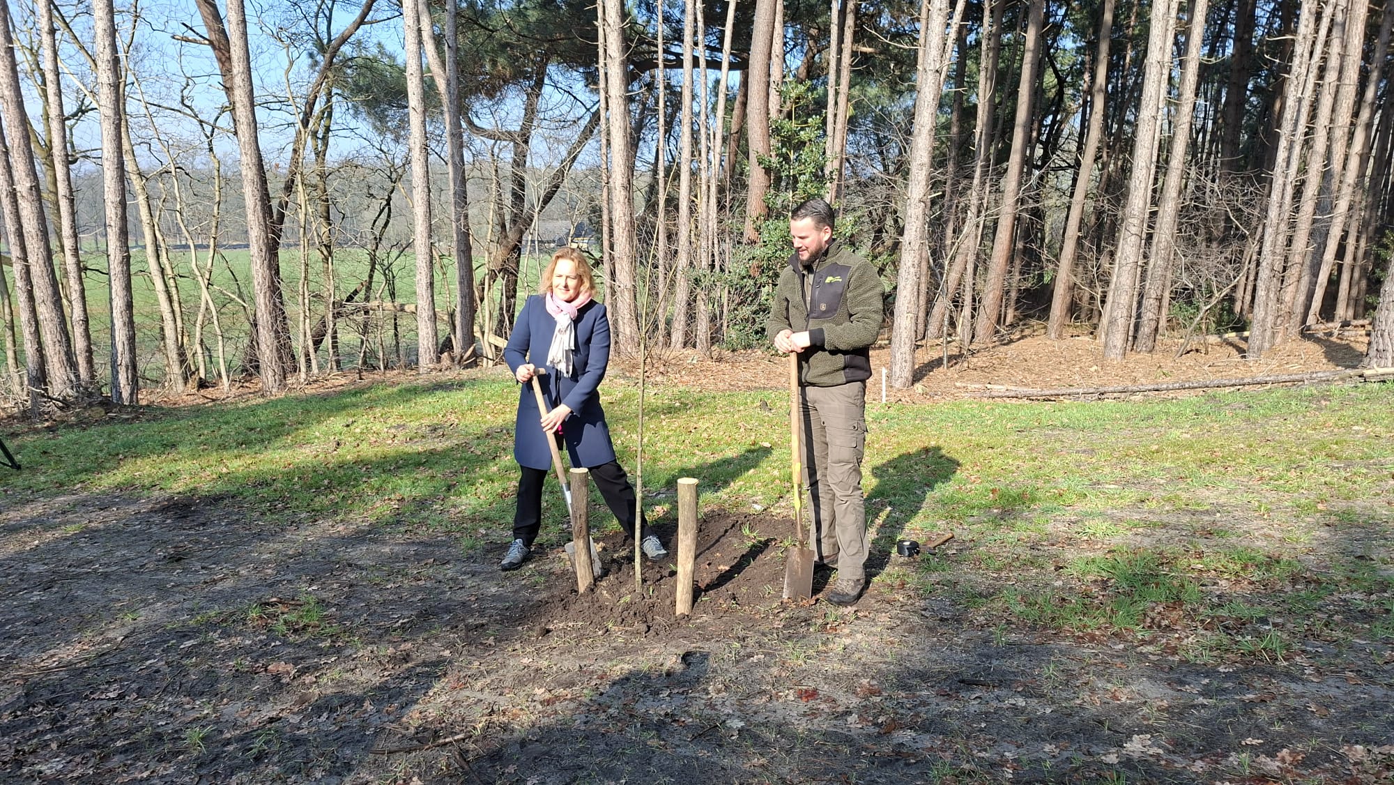 ‘Zon breekt door in Halsteren’: actieve sanering drugsput zit erop, natuur nu aan zet