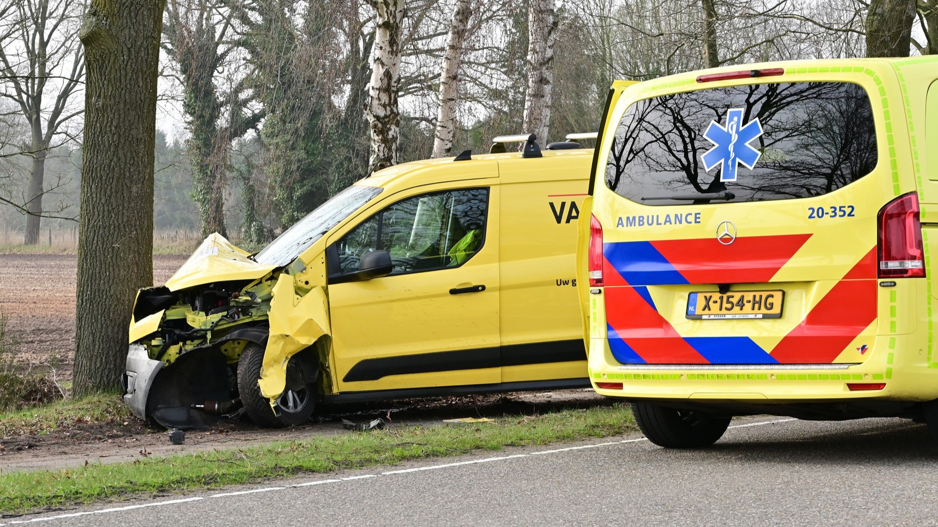Auto botst tegen boom op de Ettenseweg in Rijsbergen