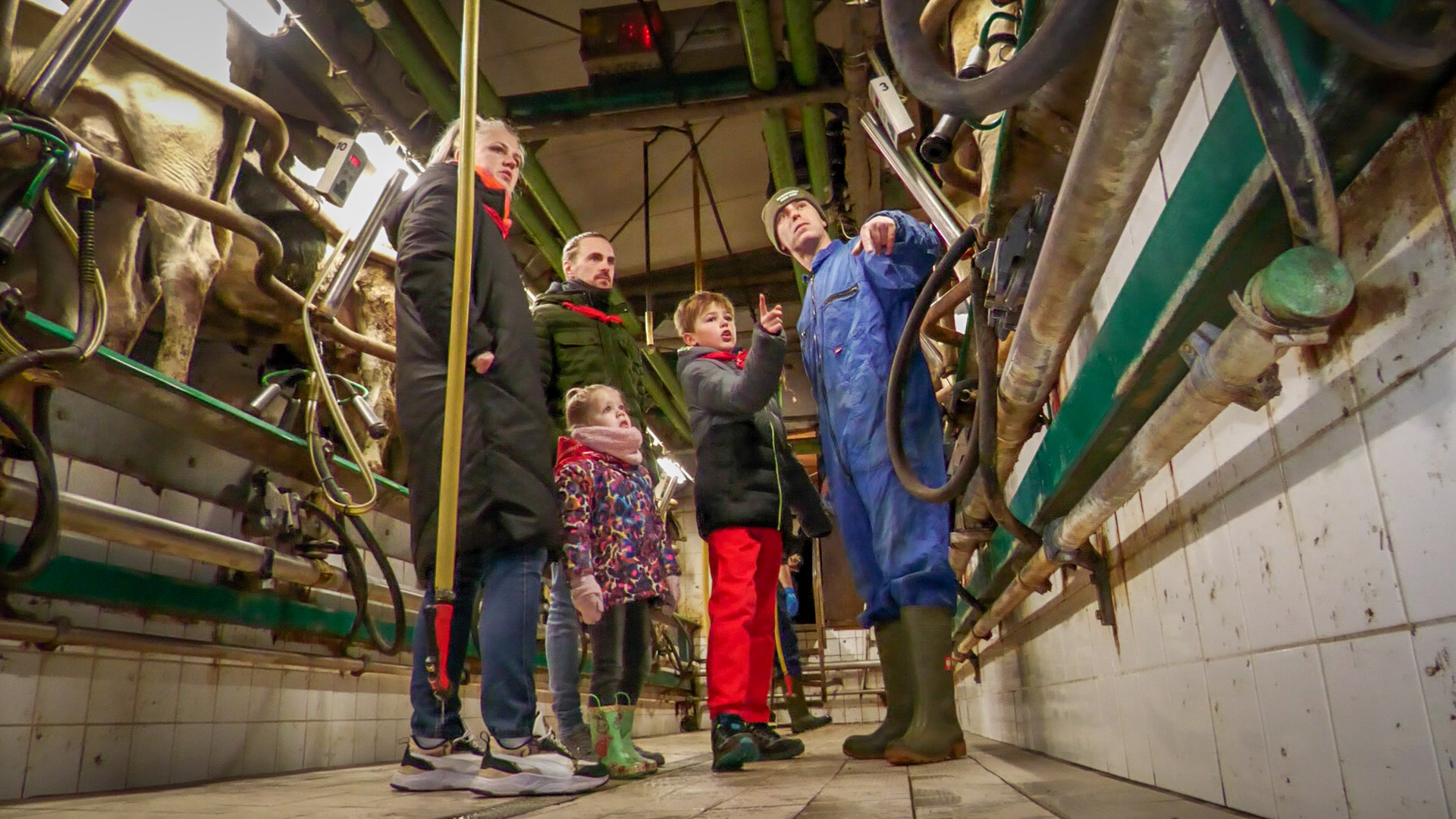 Bezoekers ervaren boerenleven bij Den Hof’s meemelk-ontbijt