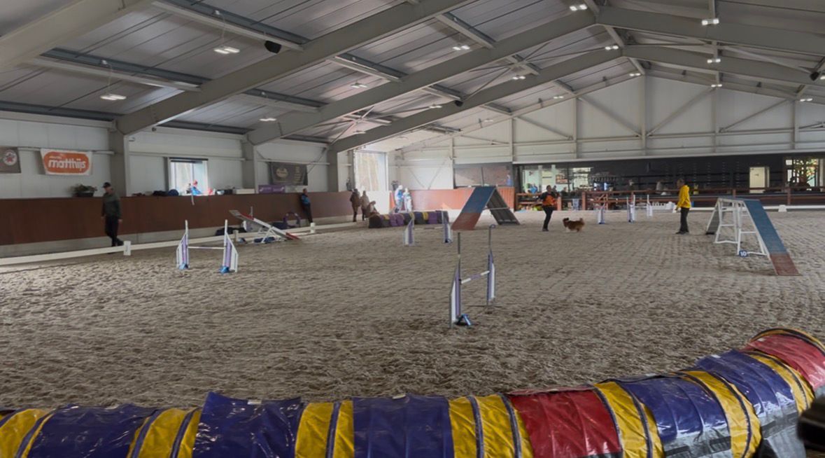 Honderden honden zamelen geld in voor het Sophia kinderziekenhuis