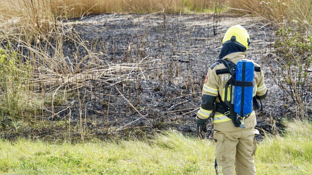 Vandalen stichten brand in rietkraag aan Rijksweg Sint Philipsland