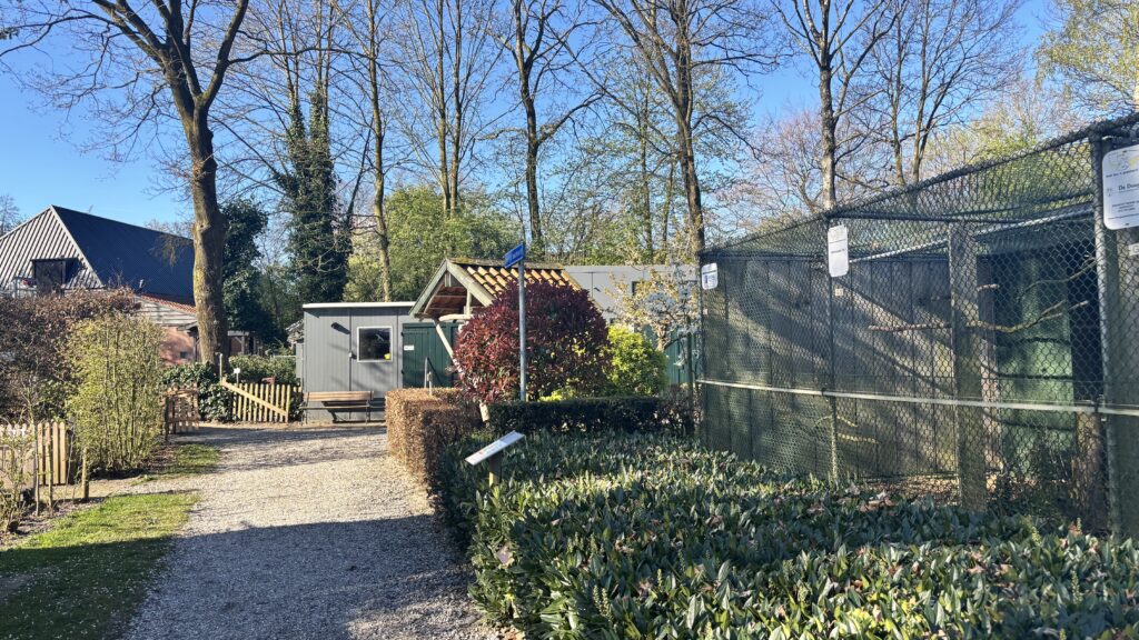 Vrijwilligers vogelrevalidatie­centrum bereiden zich voor op drukte tijdens open dag