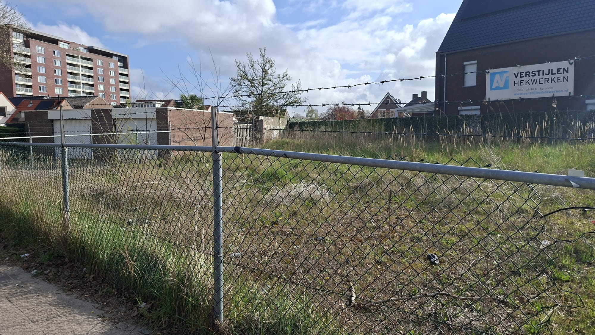 Japanse duizendknoop teistert buurt: ‘Plant komt overal doorheen’