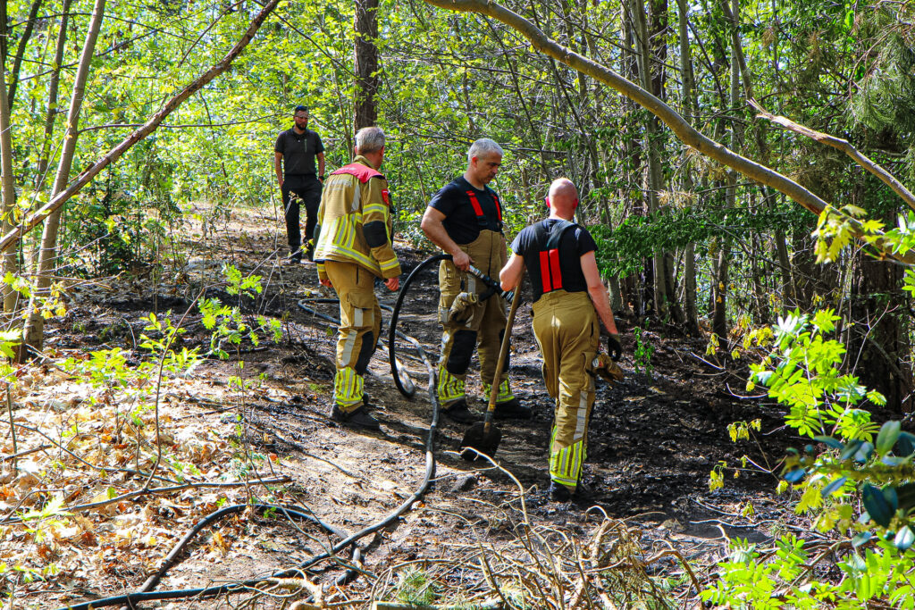 Bosbrand bij Bergen op Zoom snel onder controle