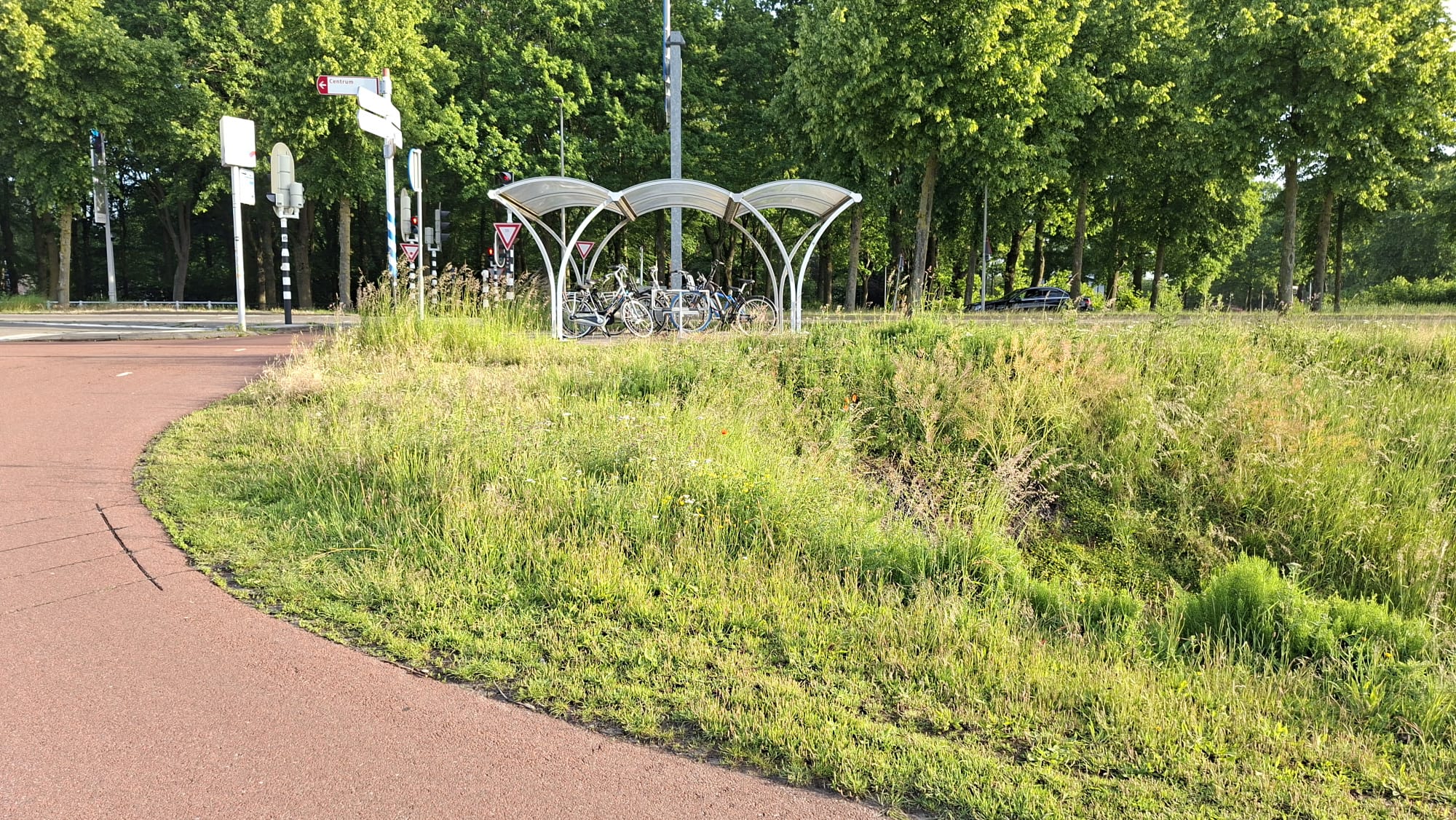 Gemeente Etten-Leur en groenbedrijf uit elkaar: 'Samenwerking niet meest passende oplossing'