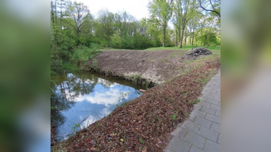 Broedplaats van beschermde ijsvogels in Roosendaal vernield