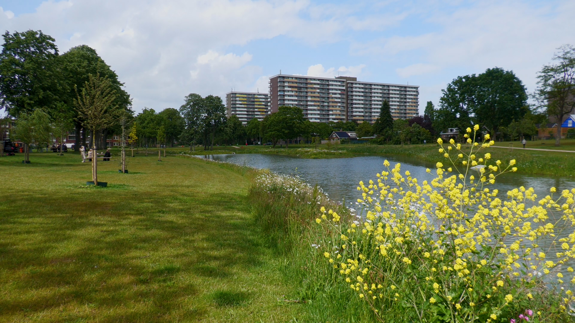 Park Vijverberg Zuid veiliger en groener: ‘Heb hier heel wat keren op de grond gelegen’