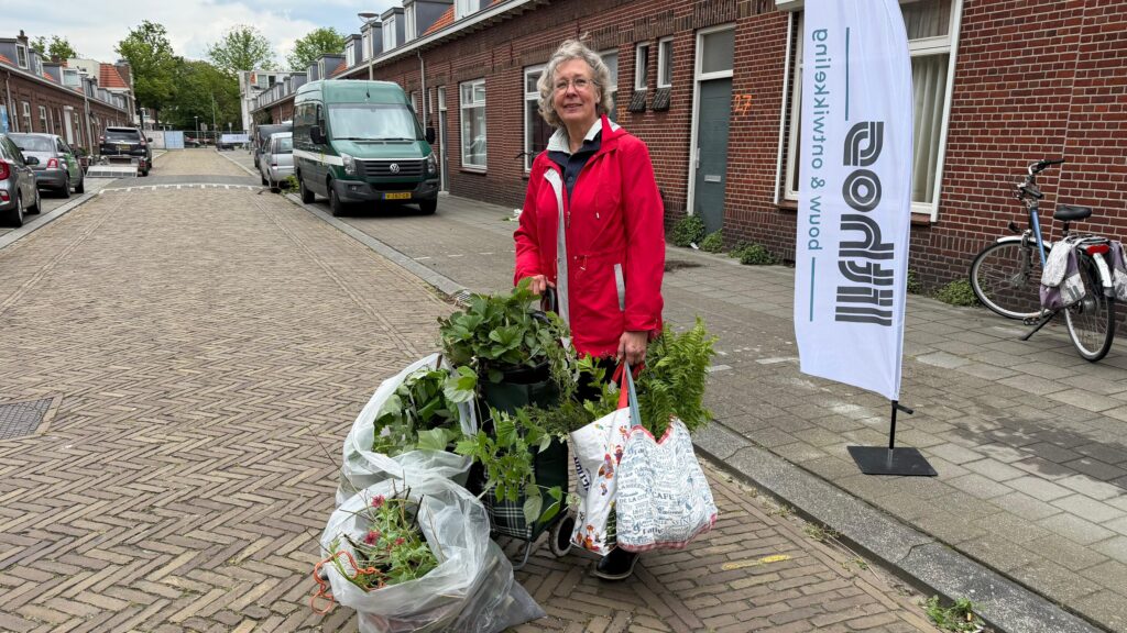 Legaal struikroven in Bergen op Zoom: ‘Ik ben plantjes aan het scoren’