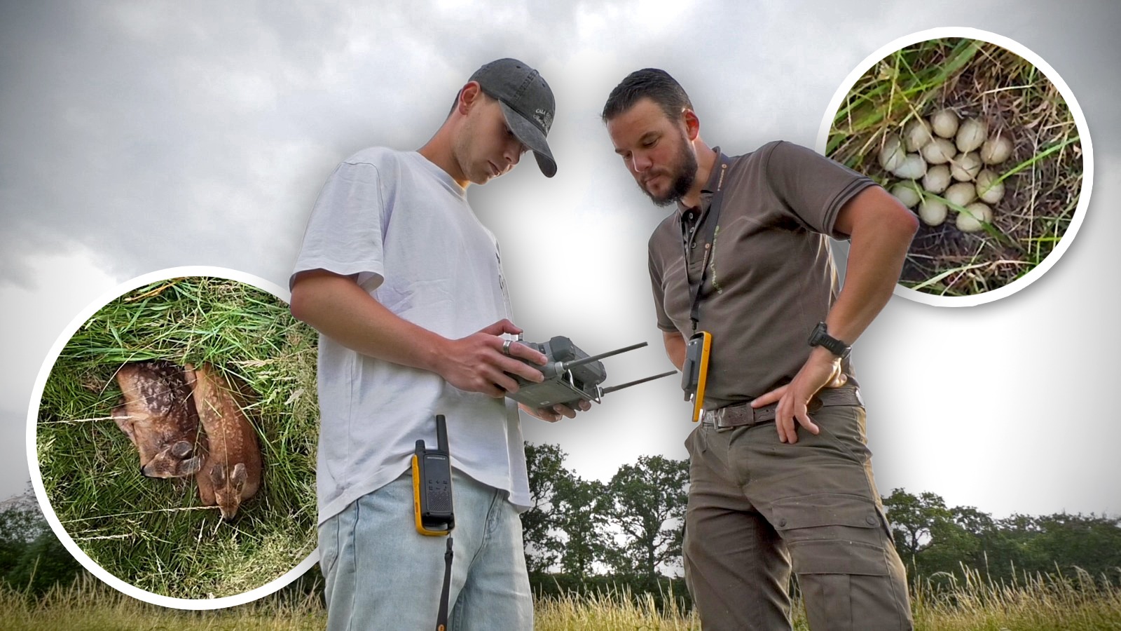 Verborgen in het hoge gras: drone redt reekalfjes van de maaier