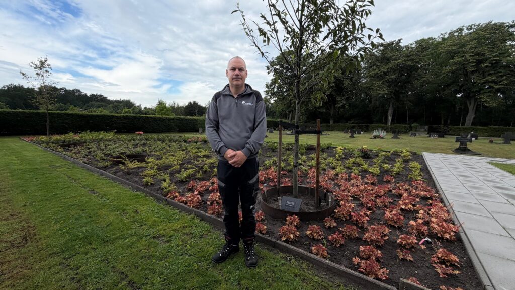Begraafplaats Bergen op Zoom introduceert gedenkboom: 'Een natuurlijke manier om te herdenken'