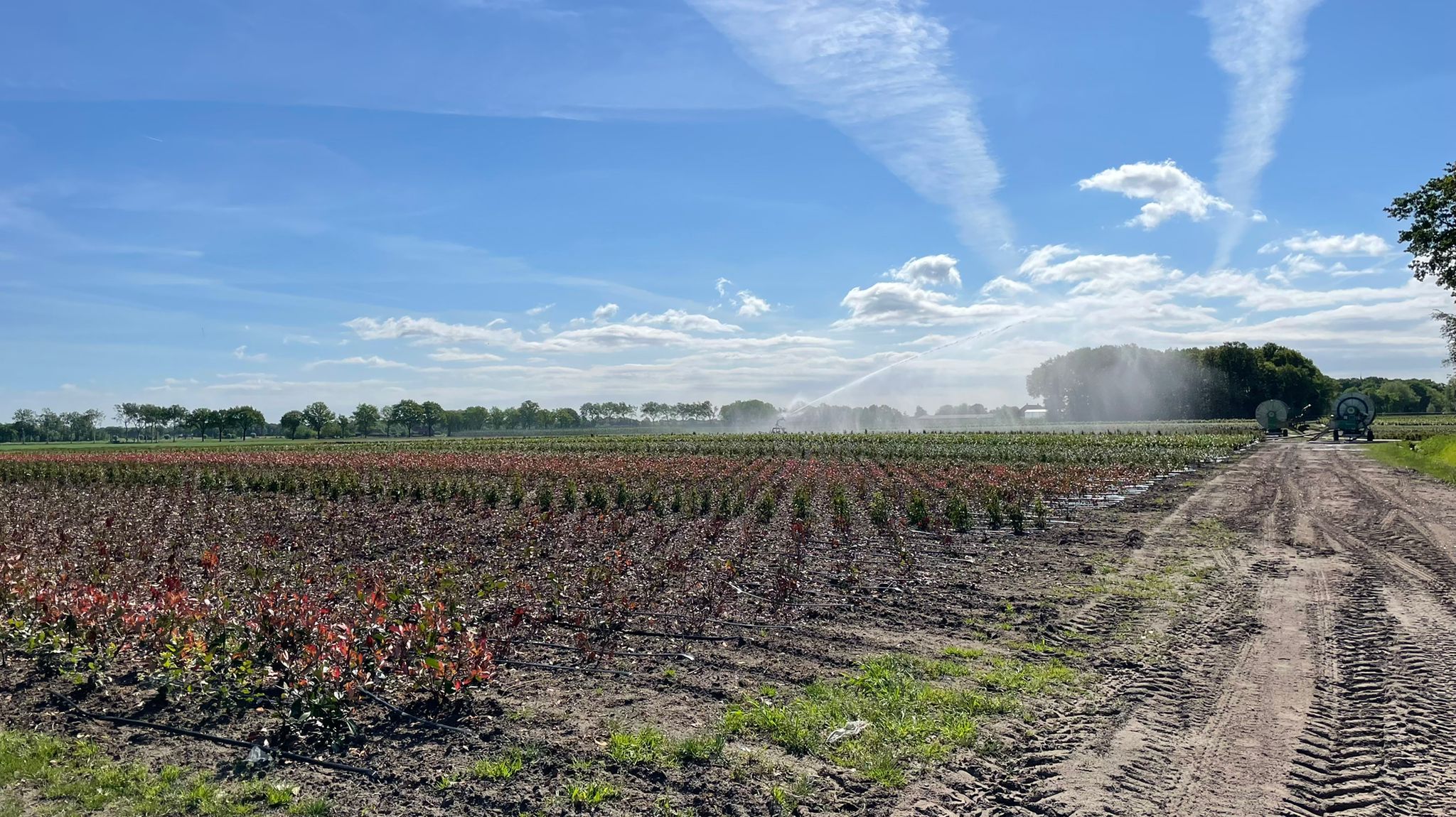 Hitteblog – Code oranje, warmterecord verbroken in Woensdrecht