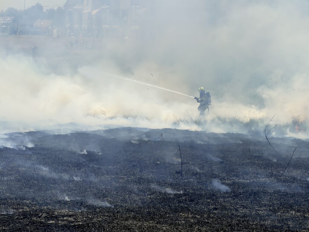 Flinke brand in rietveld in Sint Philipsland