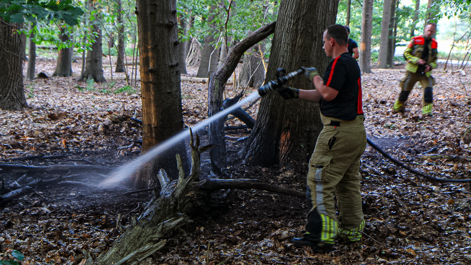 Bosbrandje snel onder controle aan ’t Wasven in Halsteren