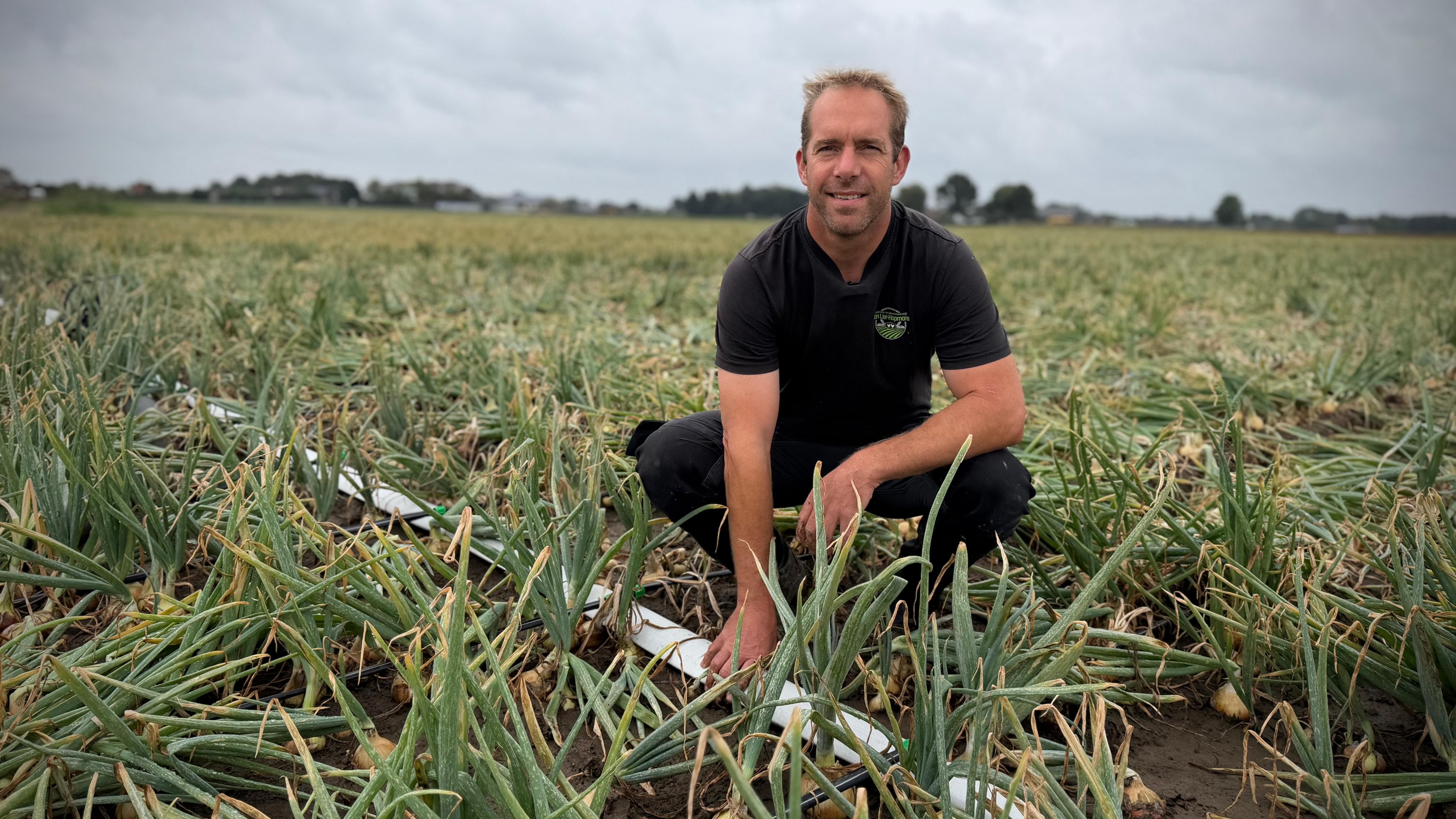 Na zonneschijn komt regen, maar voor boer Egon uit Hoeven komt die te laat
